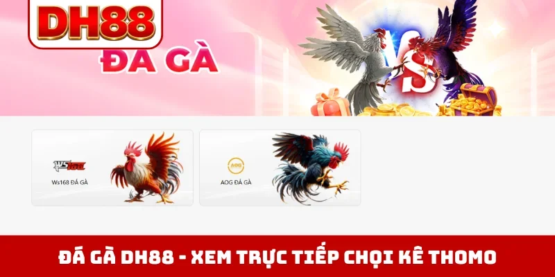 Đá gà DH88