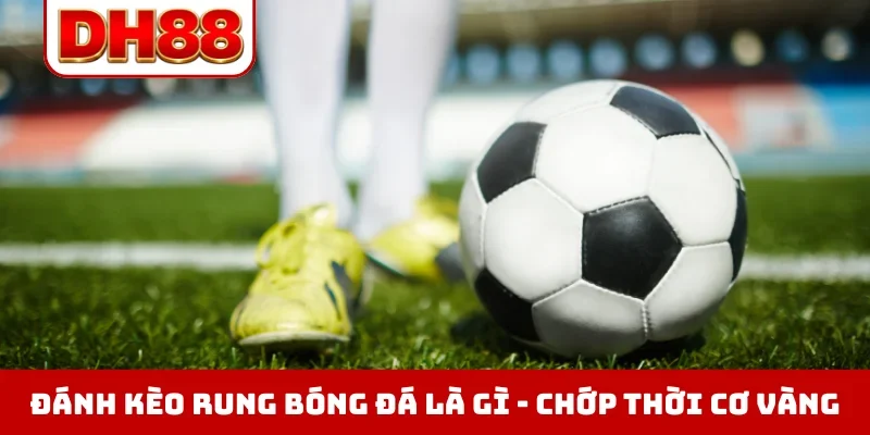 Đánh kèo rung bóng đá