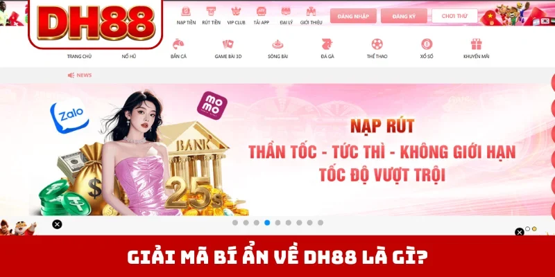 Giải mã bí ẩn về DH88 là gì?