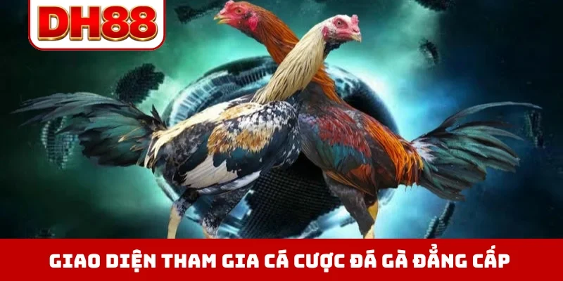 Giao diện tham gia cá cược đá gà đẳng cấp